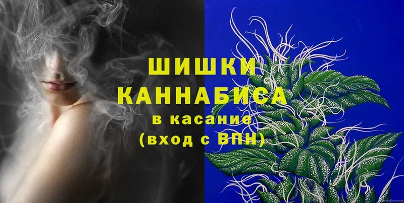 Бошки Шишки THC 21%  как найти закладки  Каспийск 